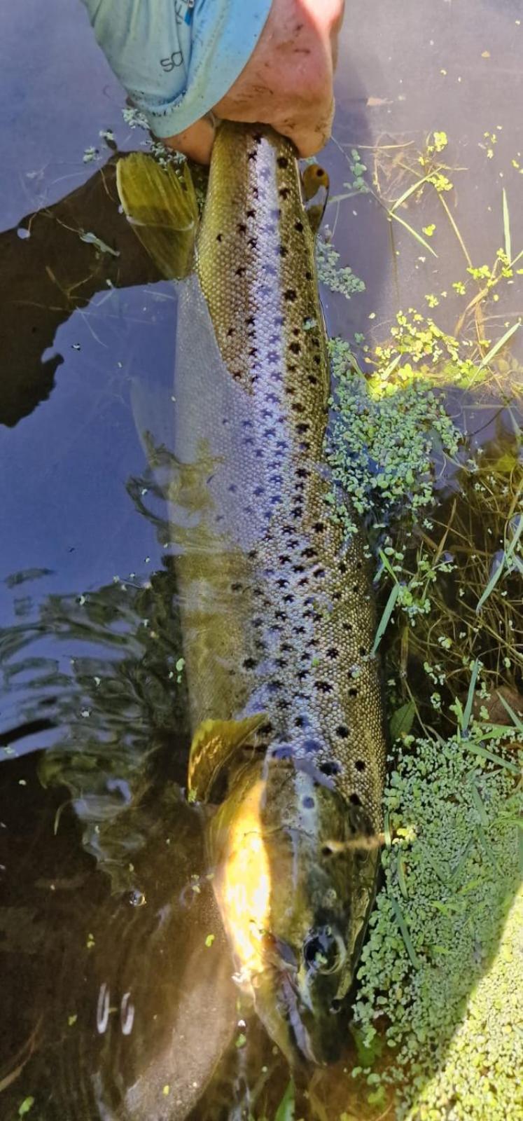 Casa Rural Can Jepet La Cellera de Ter Esterno foto